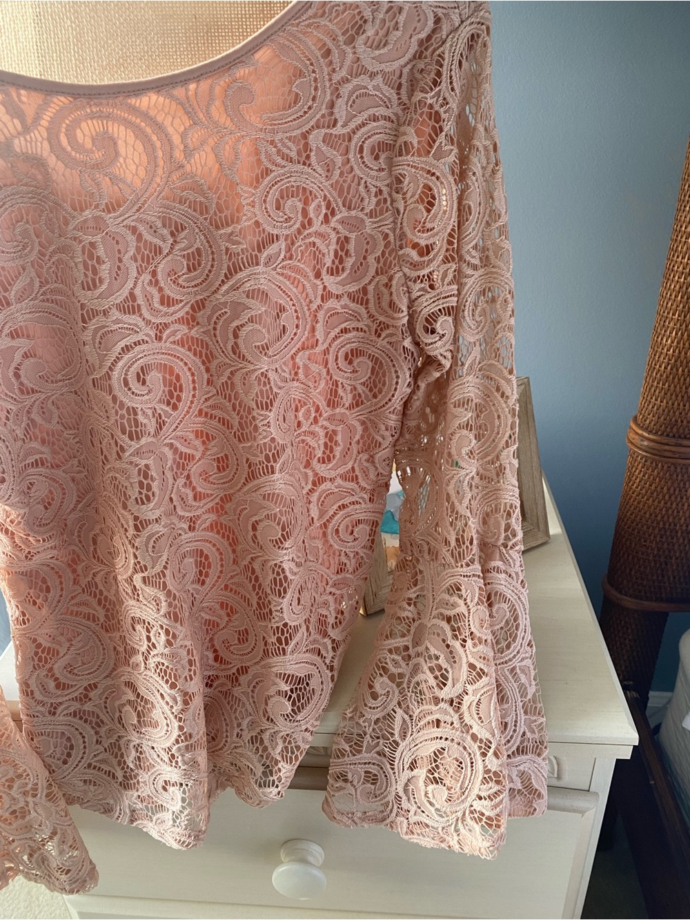 Adrianna Papell Blush Pink Lace Scoop Neck Long Sleeve Top